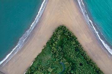 The nature whale tail in the beach.