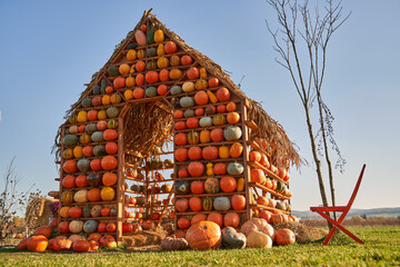 Beautiful artificial house made from pumpkins as photo zone for visitors at harvesting season. Low angle view of real size house decorated with various of pumpkins in field. Concept of harvesting. - Powered by Adobe