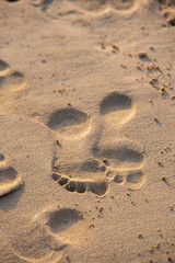Fototapeta na wymiar Footprints on the beach of Fuerteventura 