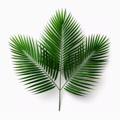 Top view of green palm leaves isolated on white background, AI generator