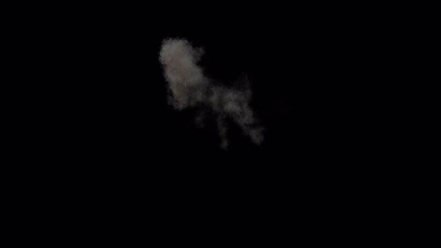 Detailed realistic explosion with fire, smoke, 4k 30p, 3 different speed shots with alpha channels included. Including slow motion so you can adjust the timing to your needs without loss of quality.