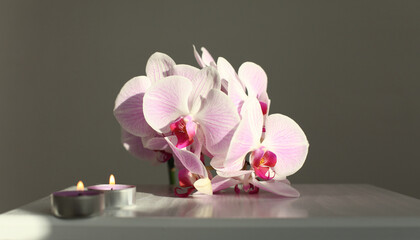 Pink phalaenopsis orchid flower, candle on beige. Selective soft focus. Minimalist art still life....