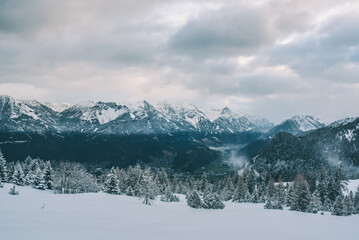 Winter | Landschaft | Natur