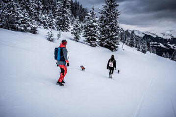 Winter | Landschaft | Natur