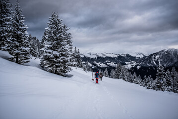 Winter | Landschaft | Natur