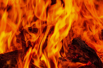 Logs in fire
