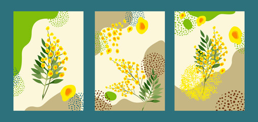 Set of abstract backgrounds in creative trendy style with flowers mimosa. Modern flat style vertical illustrations , poster for interior design, social media, postcards, botanic print. Not AI, Vector