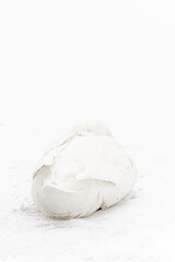 duck in the snow