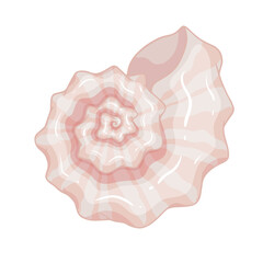 Colorful sea shell.Decorative element for summer decorations.vector graphic.