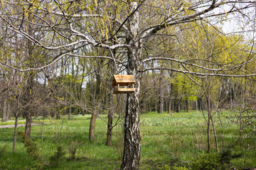 Bird house in the woods