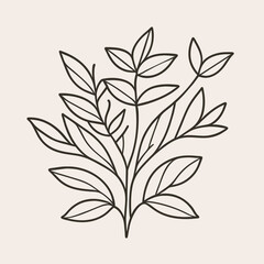 Fototapeta premium A Branch with Leaves: Natural Botanical Foliage
