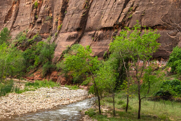 National Park Zion Utah