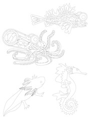 hand drawn sketch of fish