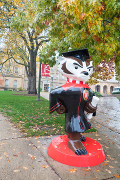 University of Wisconsin, Madison, Wisconsin - USA: Bucky Badger as a UW graduate strutting down Bascom Hill with diploma and cap and gown. 175th Anniversary flag and Bascom Hall in background