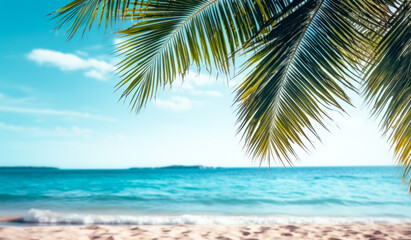 Fototapeta na wymiar The tropical island's summer scene features palm tree branches casting shade on the sandy beach.