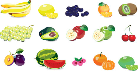 Different sorts of healthy fruits. Vector