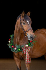 Horse with Garland