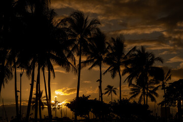 Sunset Waikiki