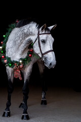 Gray Horse with Garland