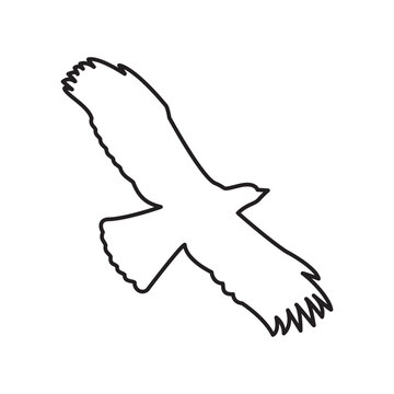 Illustration Vector Graphic of Bird icon design