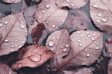 Aesthetic pink beige leaves with water drops background, Generative AI