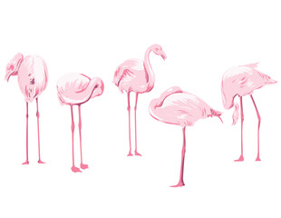 Art Deco or WPA poster art of a flock of flamingos or flamboyance viewed from side on isolated white background done in works project administration style.
