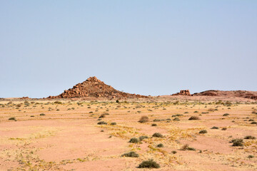 Fototapeta na wymiar Arid sandy desert with rare shrubs. Small mountains are in the background. Natural landscape reserve