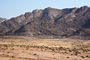 Fototapeta na wymiar Arid sandy desert with rare shrubs. Small mountains are in the background. Natural landscape reserve