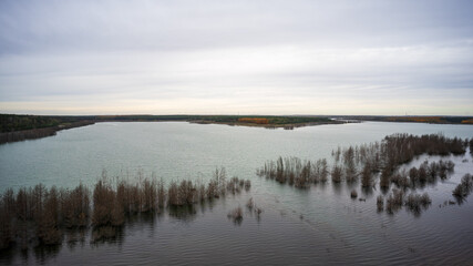 Bird's eye view on Sedlitzer See. The surroundings of Senftenberg. Germany. Federal state of Brandenburg.