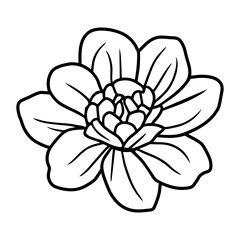 Hand drawn simple flower illustration
