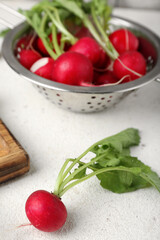 Ripe radish with green leaves on light background