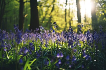 A picturesque field of bluebells in a serene forest. Perfect for nature and outdoor-themed projects