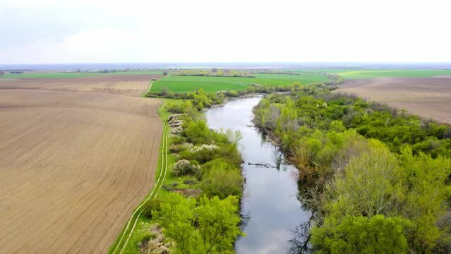Drone flight over lake Calma and cultivated fields surrounding it