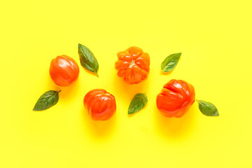 Fresh ripe tomatoes and basil on yellow background