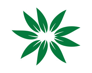 green leaf icon