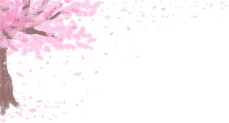 Pink sakura tree isolated on White background.
