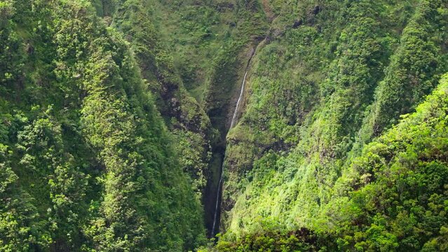 Breathtaking aerial shot of Sacred Falls State Park on Oahu North Shore. Outdoor adventure on Hawaii islands. Cinematic green tropical jungles Sacred Falls. Scenic landscape tourism b roll background