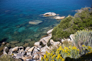 Laguna azul con rocas y arbustos 