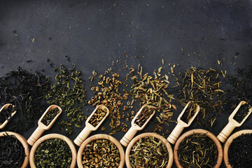 Colorful mix of tea varieties: red and black, green and white, oolong and herbal