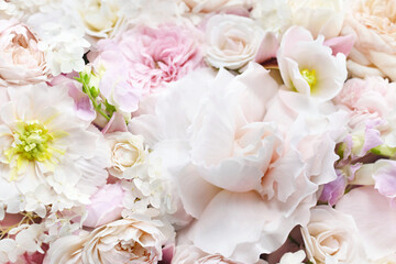 Delicate blooming festive begonia flowers and pink summer roses, blossoming rose flower soft pastel background, bouquet floral card, selective focus