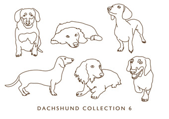 Dachshund Weiner Dog Illustration - Outlines - Many Poses - Collection 6