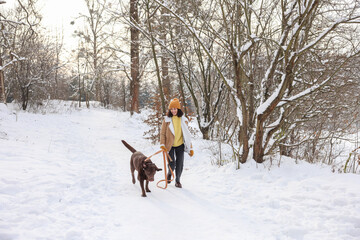 Woman walking with adorable Labrador Retriever dog in snowy park