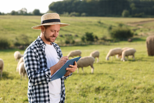 Smiling farmer with clipboard writing notes on pasture