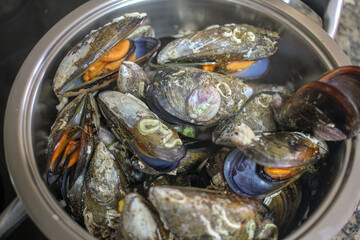 Steamy Delights: A Feast of Steamed Mussels in the Pot
