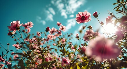 Whispers of Spring - A Blooming Meadow of Pink Flowers Under a Blue Sky, From a Low Angle View - Powered by Adobe
