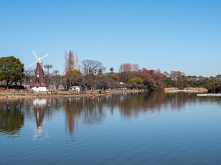 Fototapeta na wymiar 冬の青空と浮間公園の風景　東京都板橋区
