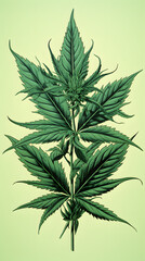 Cannabis, weed, marijuhana