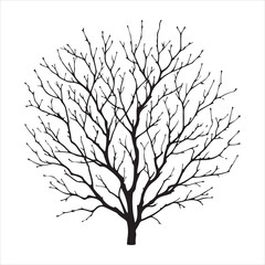 vector black silhouette of a bare tree, Naked Tree vector silhouette, isolated white background