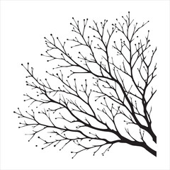 vector black silhouette of a bare tree, Naked Tree vector silhouette, isolated white background