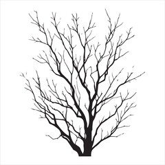 a naked tree branches vector silhouette black color illustration